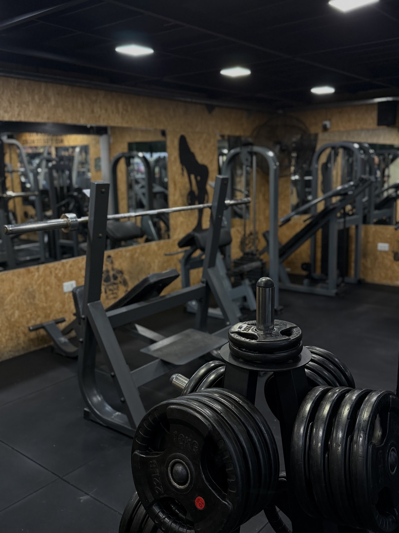 Interior de Cc Gym, máquinas de musculación